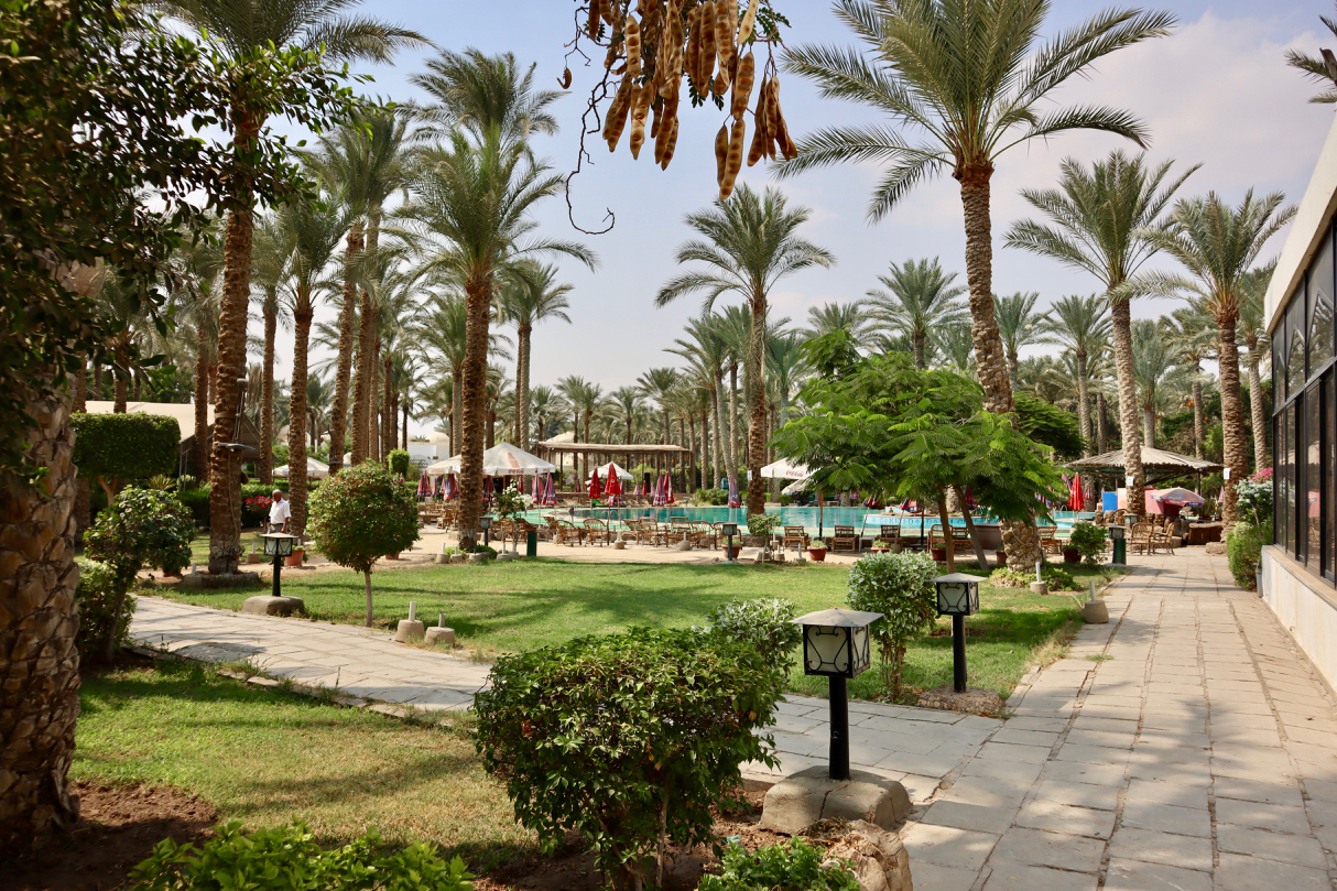 Saqqara Palm Club