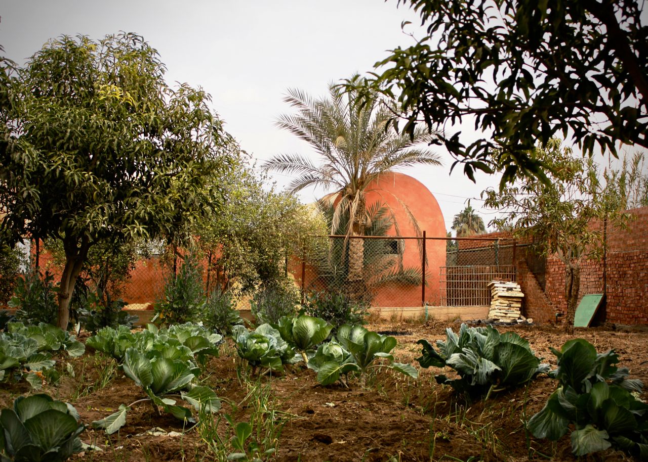 Al Sorat Farm