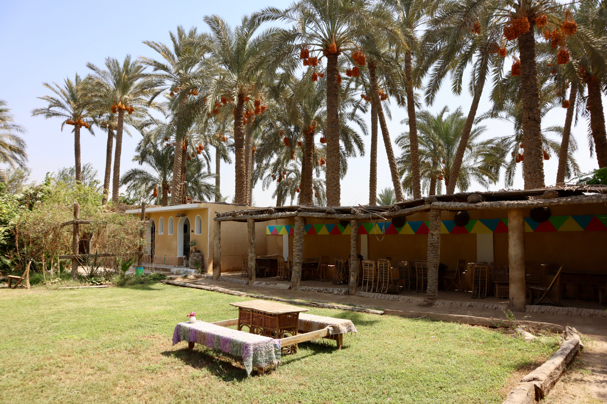 Saqqara & Dahshur
