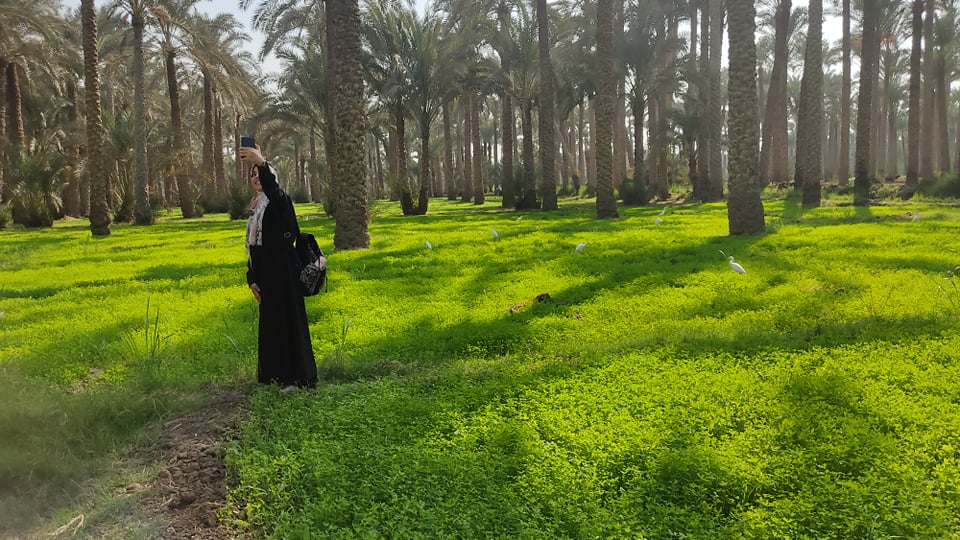 Snefru Guesthouse in Dahshur