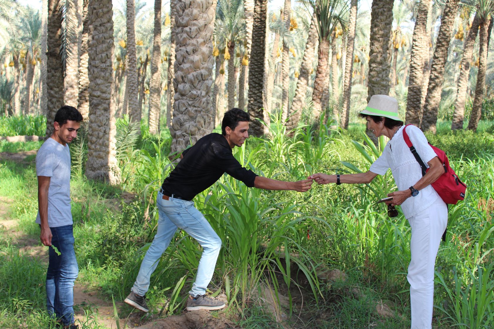 Dahshur Today