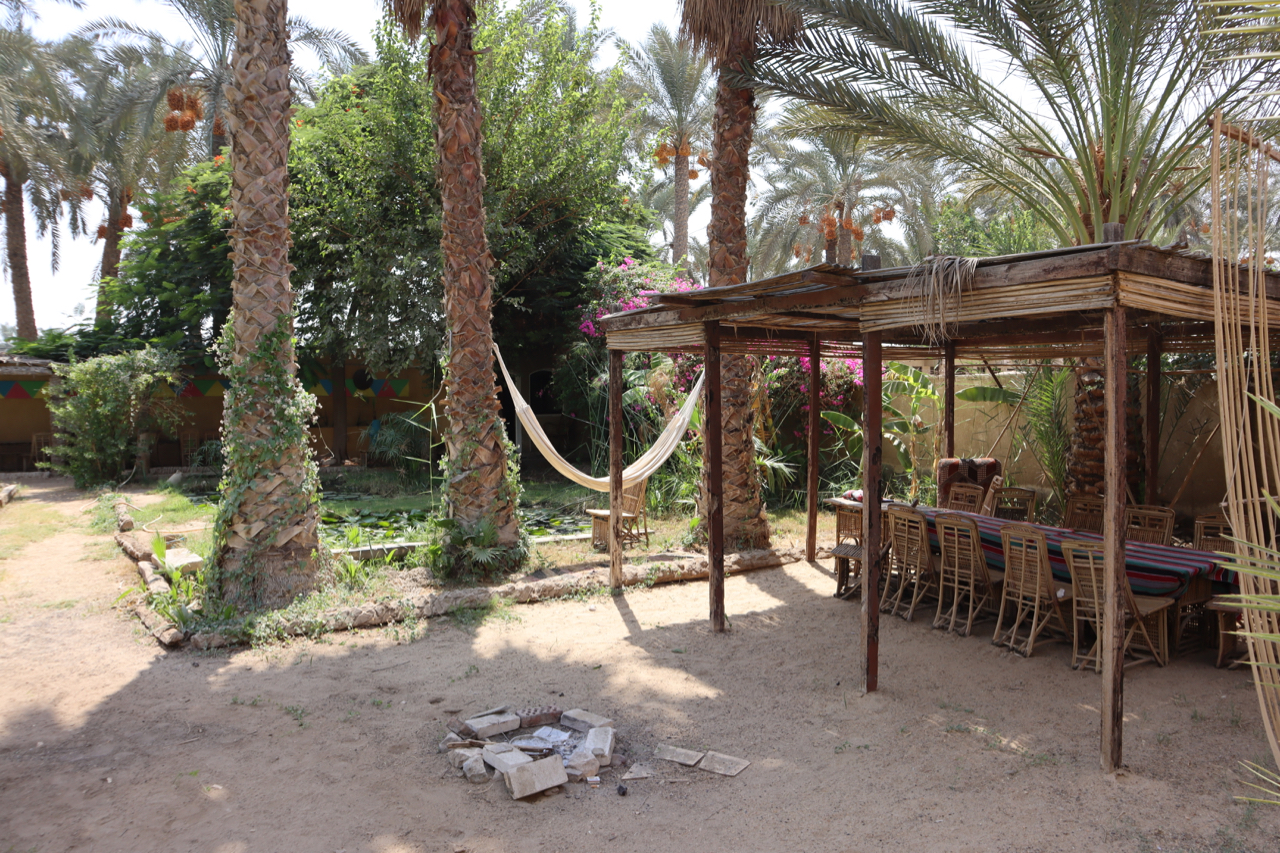 Blue Lotus Guesthouse in Saqqara