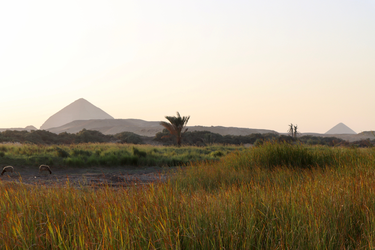 Saqqara & Dahshur