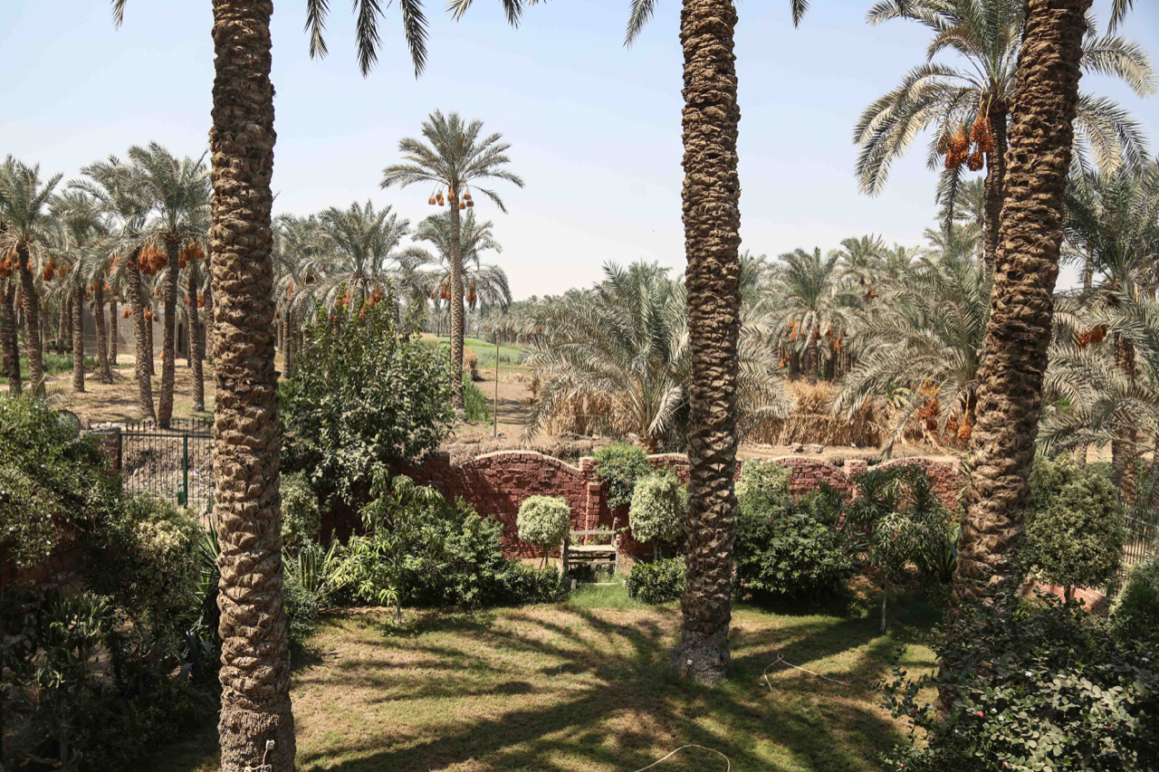 Snefru Guesthouse in Dahshur