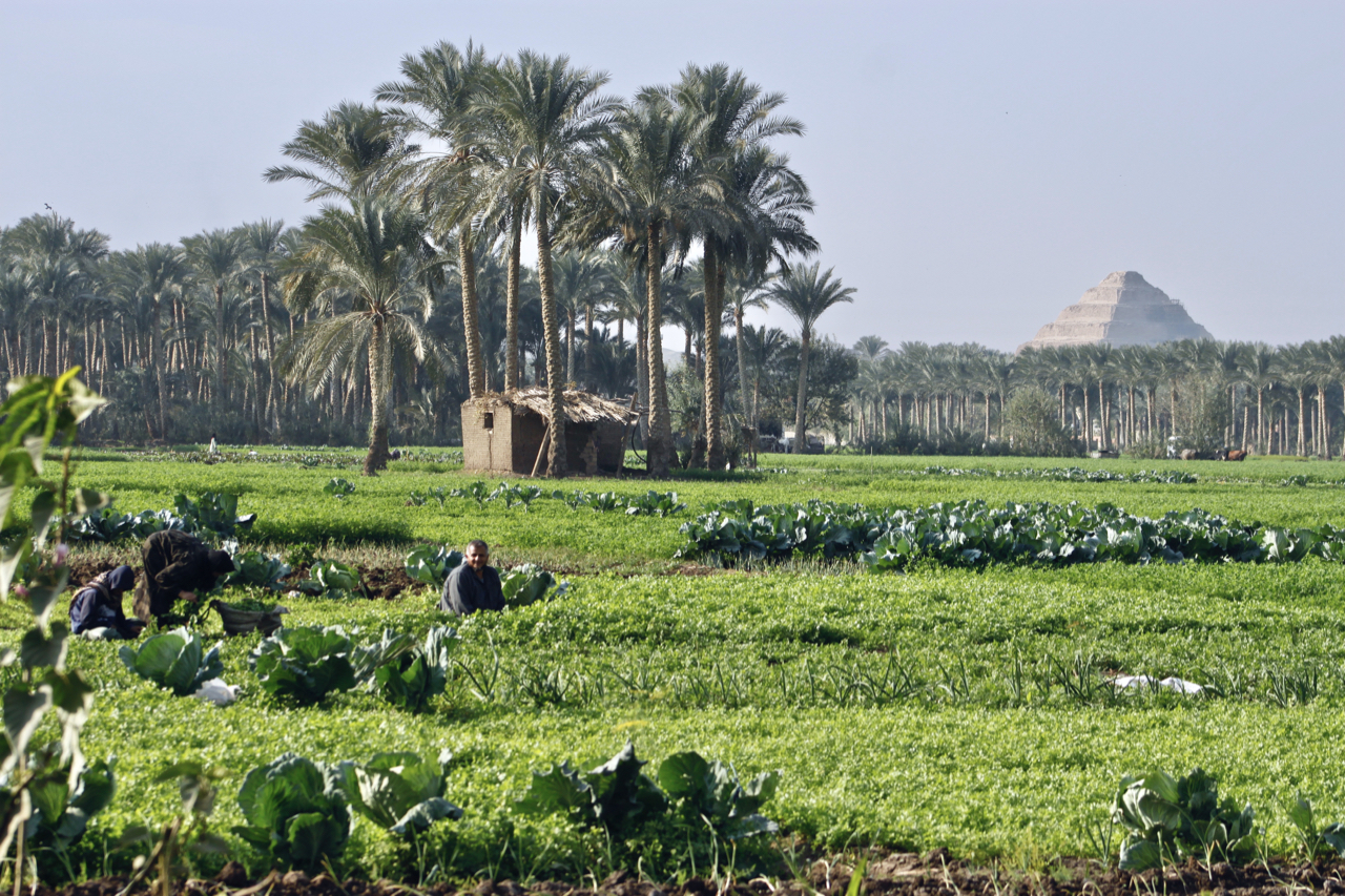 Saqqara & Dahshur